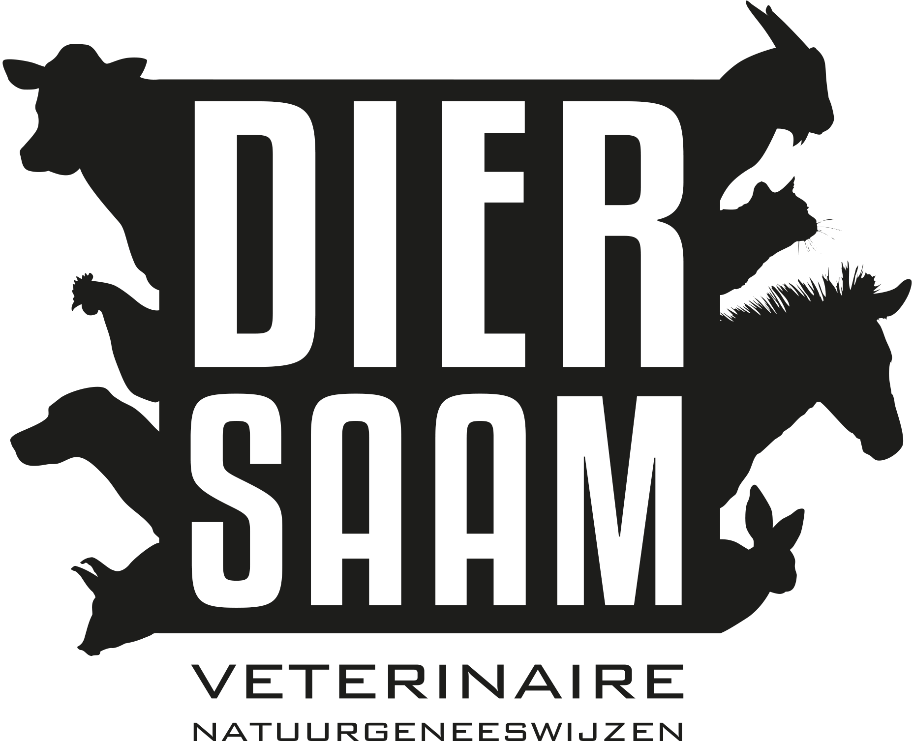 Logo Diersaam